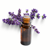 Lavender Essential Oil