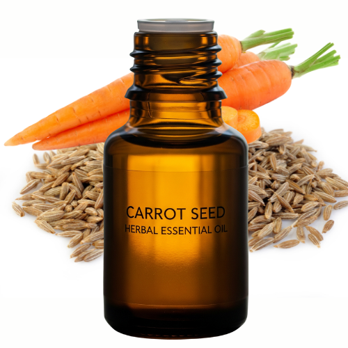 Carrot Seed Essential Oil