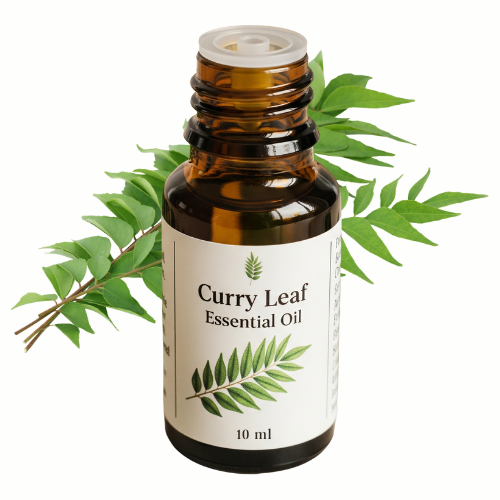 Curry Leaf Essential Oil