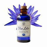 Blue Lotus Essential Oil