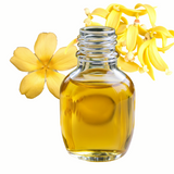 Champaca Essential Oil