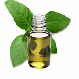 Holy Basil Essential Oil