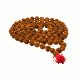 Rudraksh Mala